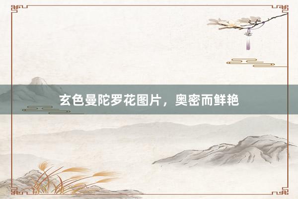 玄色曼陀罗花图片，奥密而鲜艳
