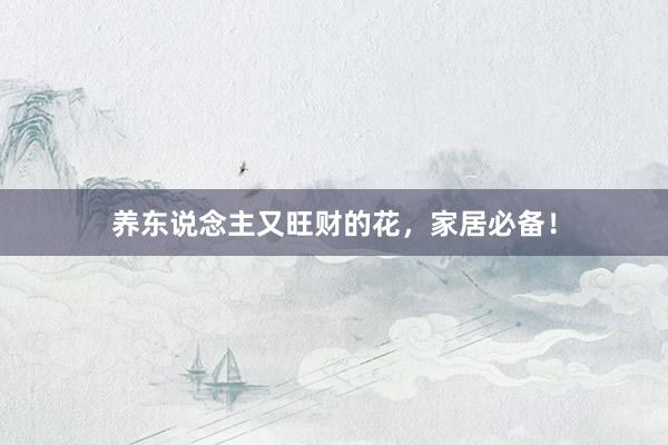 养东说念主又旺财的花，家居必备！