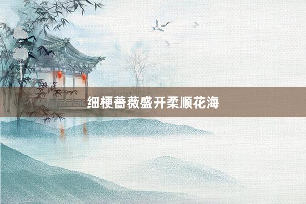 细梗蔷薇盛开柔顺花海